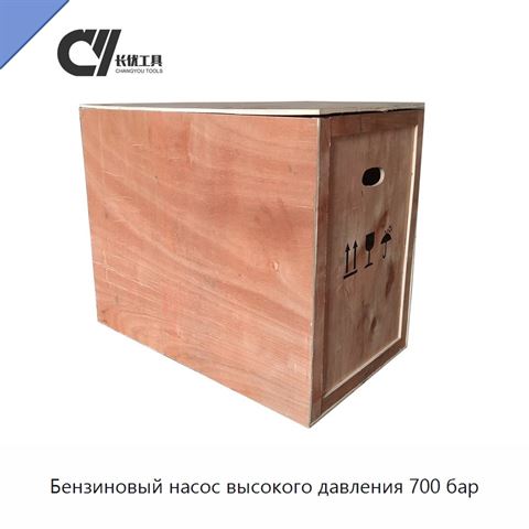 Бензиновый насос высокого давления 700 бар