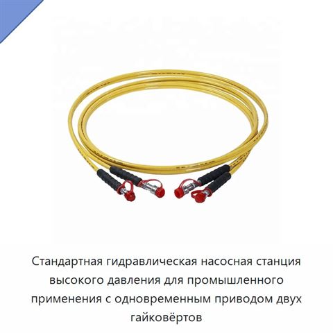 Стандартная гидравлическая насосная станция высокого давления для промышленного применения с одновременным приводом двух гайковёртов