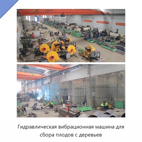 Гидравлическая вибрационная машина для сбора плодов с деревьев