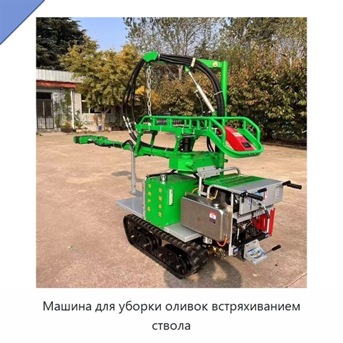 Машина для уборки оливок встряхиванием ствола