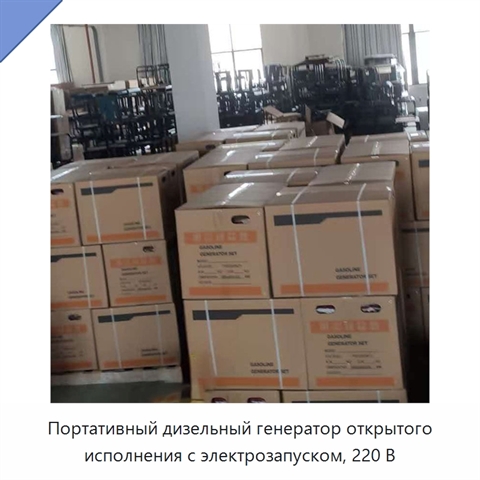 Портативный дизельный генератор открытого исполнения с электрозапуском, 220 В