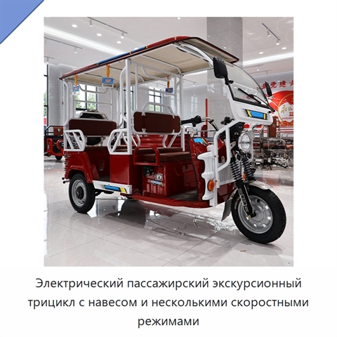 Электрический пассажирский экскурсионный трицикл с навесом и несколькими скоростными режимами