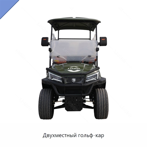 Двухместный гольф-кар