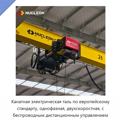 Канатная электрическая таль по европейскому стандарту, однофазная, двухскоростная, с беспроводным дистанционным управлением