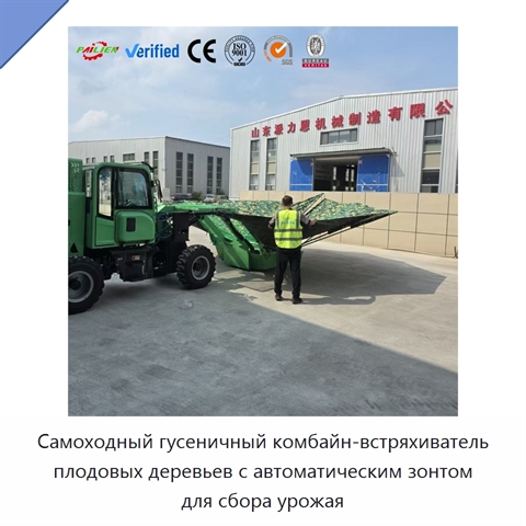 Самоходный гусеничный комбайн-встряхиватель плодовых деревьев с автоматическим зонтом для сбора урожая