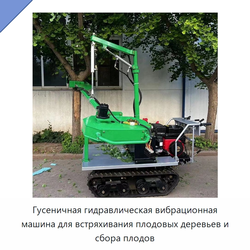 Гусеничная гидравлическая вибрационная машина для встряхивания плодовых деревьев и сбора плодов — Лесохозяйственная техника