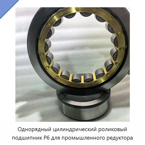 Однорядный цилиндрический роликовый подшипник P6 для промышленного редуктора