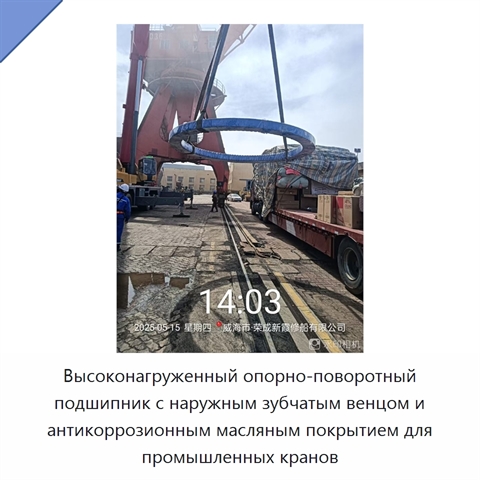 Высоконагруженный опорно-поворотный подшипник с наружным зубчатым венцом и антикоррозионным масляным покрытием для промышленных кранов