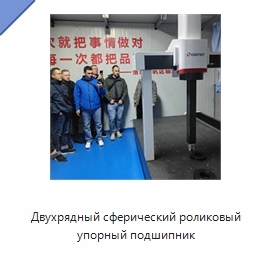 Двухрядный сферический роликовый упорный подшипник