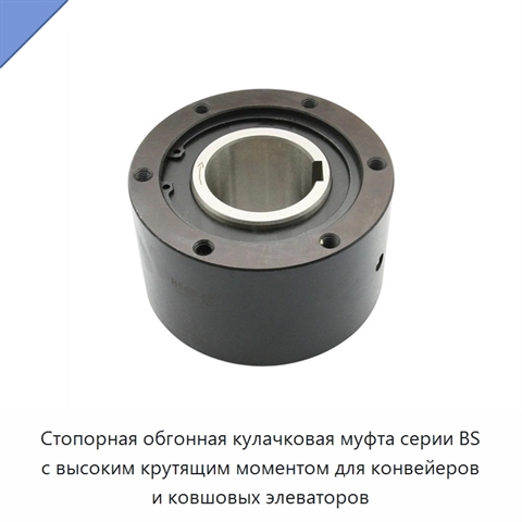 Стопорная обгонная кулачковая муфта серии BS с высоким крутящим моментом для конвейеров и ковшовых элеваторов