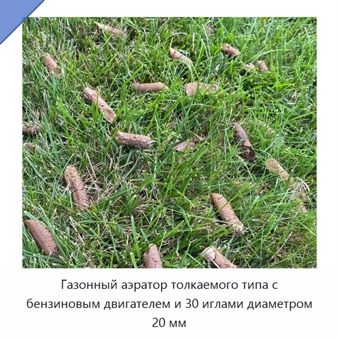 Газонный аэратор толкаемого типа с бензиновым двигателем и 30 иглами диаметром 20 мм