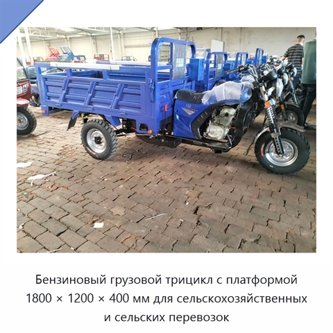 Бензиновый грузовой трицикл с платформой 1800 × 1200 × 400 мм для сельскохозяйственных и сельских перевозок