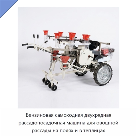 Бензиновая самоходная двухрядная рассадопосадочная машина для овощной рассады на полях и в теплицах