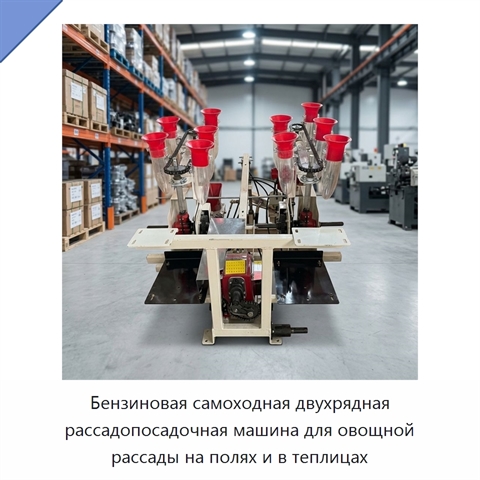 Бензиновая самоходная двухрядная рассадопосадочная машина для овощной рассады на полях и в теплицах