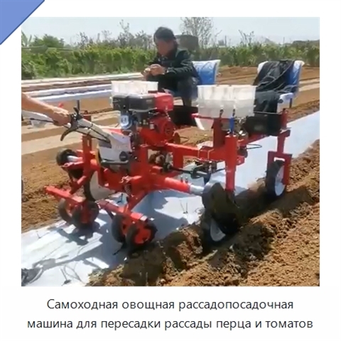 Самоходная овощная рассадопосадочная машина для пересадки рассады перца и томатов