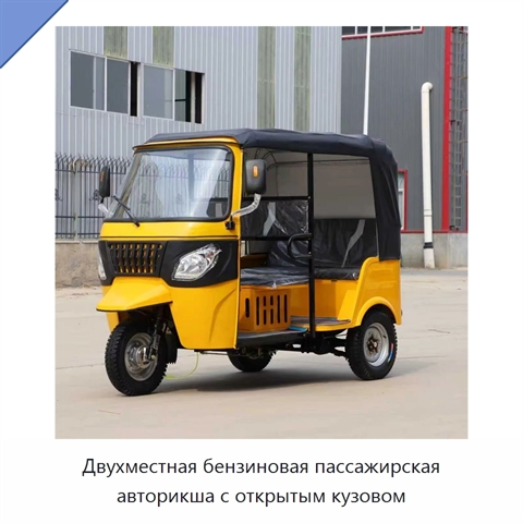 Двухместная бензиновая пассажирская авторикша с открытым кузовом