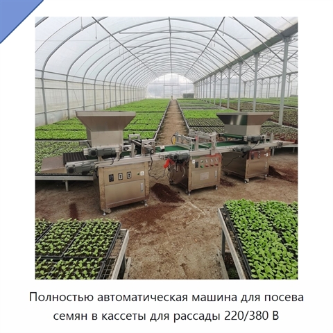 Полностью автоматическая машина для посева семян в кассеты для рассады 220/380 В
