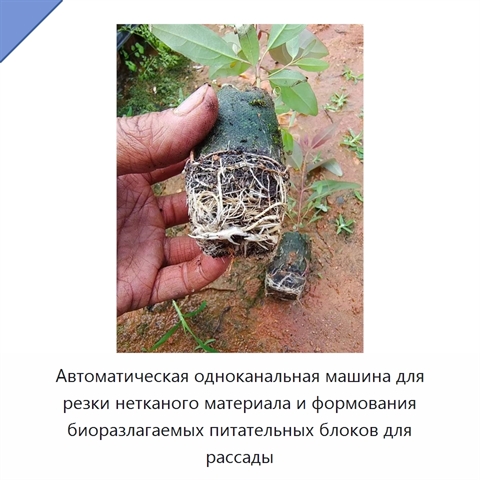 Автоматическая одноканальная машина для резки нетканого материала и формования биоразлагаемых питательных блоков для рассады