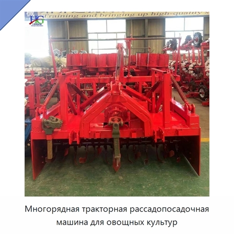 Многорядная тракторная рассадопосадочная машина для овощных культур