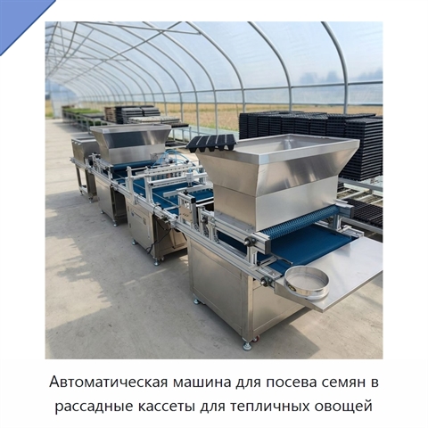 Автоматическая машина для посева семян в рассадные кассеты для тепличных овощей