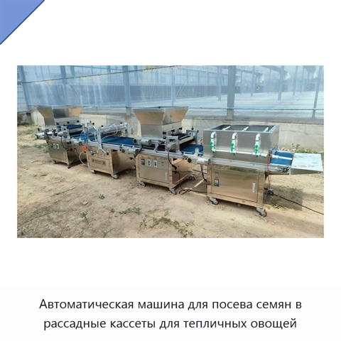 Автоматическая машина для посева семян в рассадные кассеты для тепличных овощей