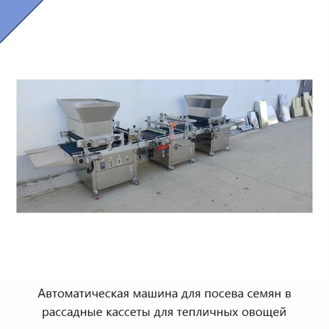 Автоматическая машина для посева семян в рассадные кассеты для тепличных овощей