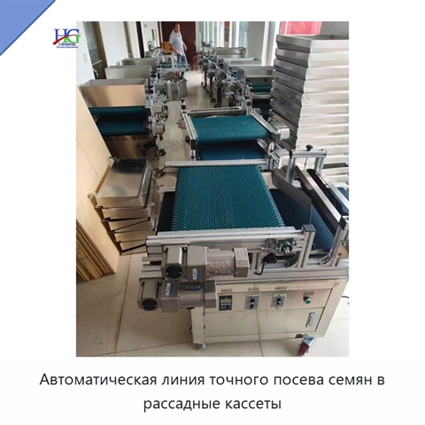 Автоматическая линия точного посева семян в рассадные кассеты