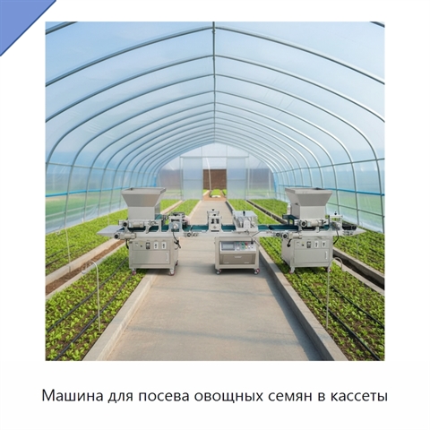 Машина для посева овощных семян в кассеты