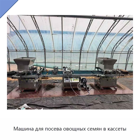 Машина для посева овощных семян в кассеты