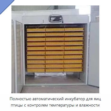 Полностью автоматический инкубатор для яиц птицы с контролем температуры и влажности — Специальные машины и промышленное оборудование