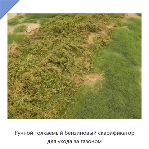Ручной толкаемый бензиновый скарификатор для ухода за газоном