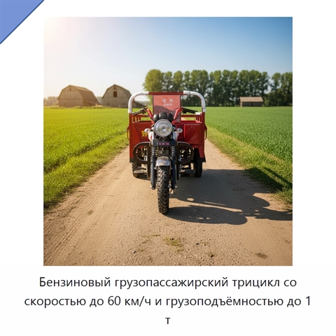 Бензиновый грузопассажирский трицикл со скоростью до 60 км/ч и грузоподъёмностью до 1 т