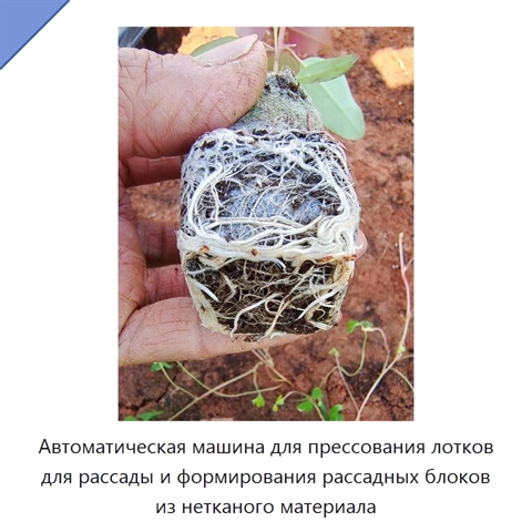 Автоматическая машина для прессования лотков для рассады и формирования рассадных блоков из нетканого материала