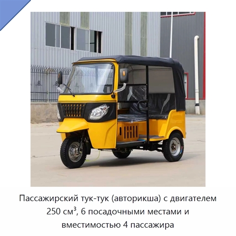 Пассажирский тук-тук (авторикша) с двигателем 250 см³, 6 посадочными местами и вместимостью 4 пассажира