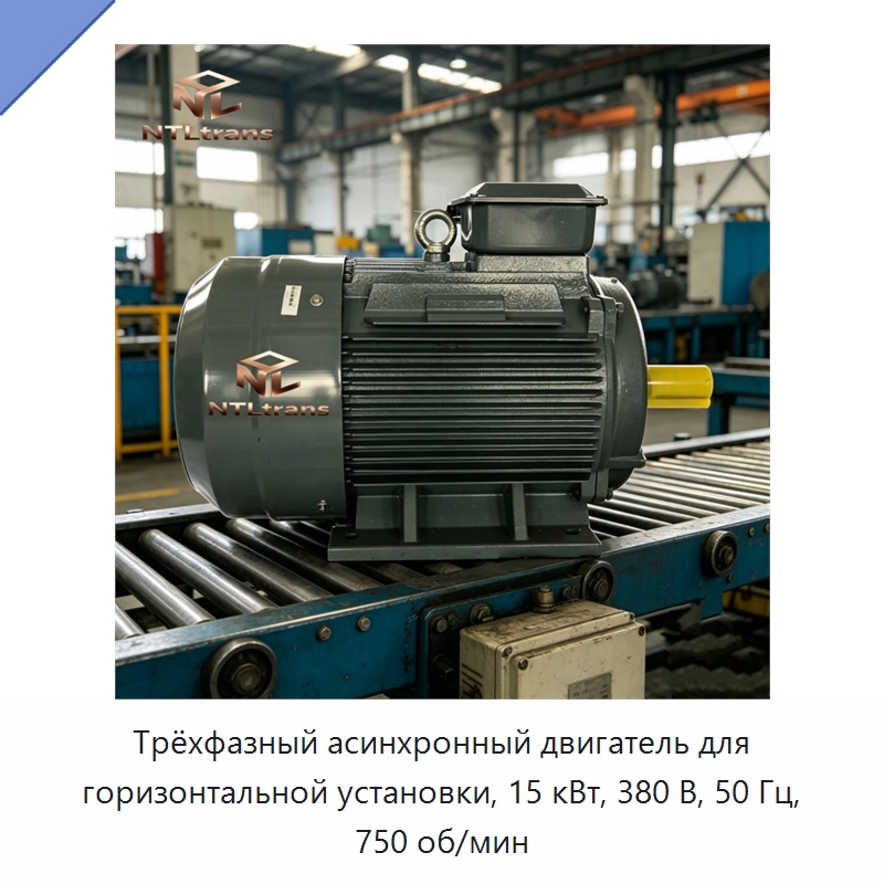 Трёхфазный асинхронный двигатель для горизонтальной установки, 15 кВт, 380 В, 50 Гц, 750 об/мин — Электродвигатели переменного тока