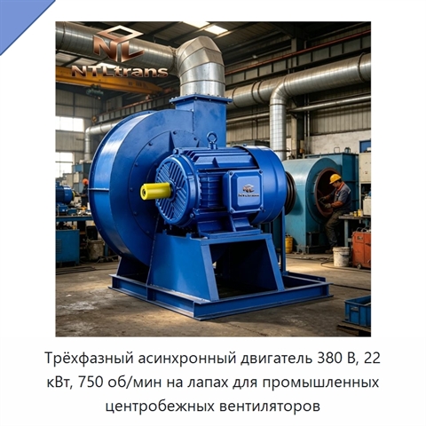 Трёхфазный асинхронный двигатель 380 В, 22 кВт, 750 об/мин на лапах для промышленных центробежных вентиляторов