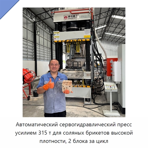 Автоматический сервогидравлический пресс усилием 315 т для соляных брикетов высокой плотности, 2 блока за цикл
