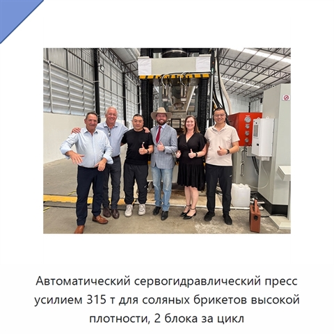 Автоматический сервогидравлический пресс усилием 315 т для соляных брикетов высокой плотности, 2 блока за цикл