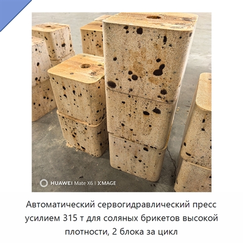 Автоматический сервогидравлический пресс усилием 315 т для соляных брикетов высокой плотности, 2 блока за цикл