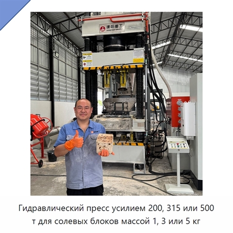 Гидравлический пресс усилием 200, 315 или 500 т для солевых блоков массой 1, 3 или 5 кг