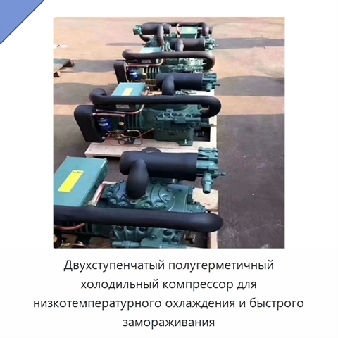 Двухступенчатый полугерметичный холодильный компрессор для низкотемпературного охлаждения и быстрого замораживания