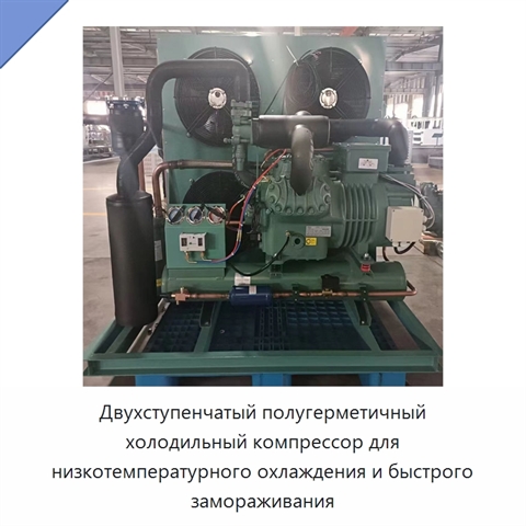 Двухступенчатый полугерметичный холодильный компрессор для низкотемпературного охлаждения и быстрого замораживания