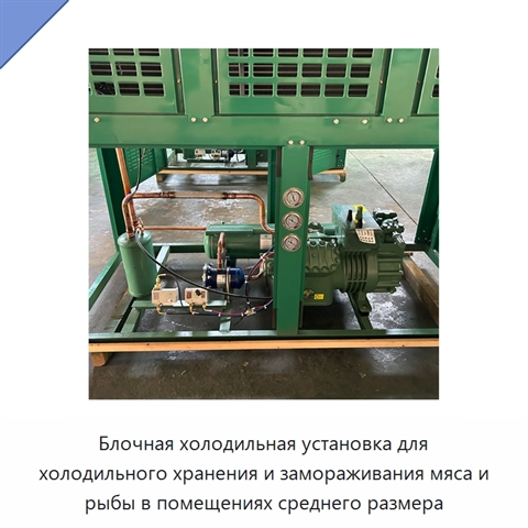 Блочная холодильная установка для холодильного хранения и замораживания мяса и рыбы в помещениях среднего размера