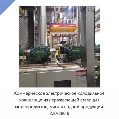 Коммерческое электрическое холодильное хранилище из нержавеющей стали для морепродуктов, мяса и водной продукции, 220/380 В