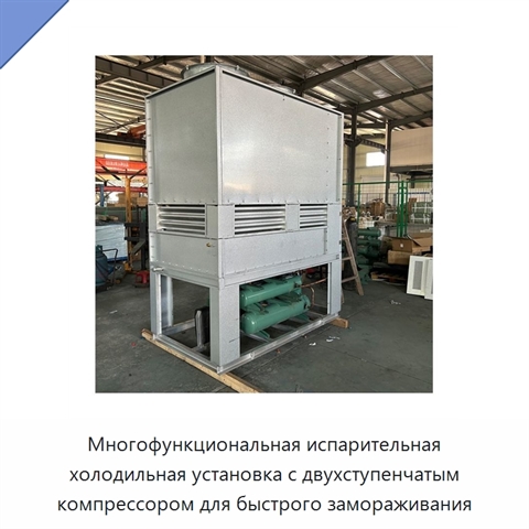Многофункциональная испарительная холодильная установка с двухступенчатым компрессором для быстрого замораживания