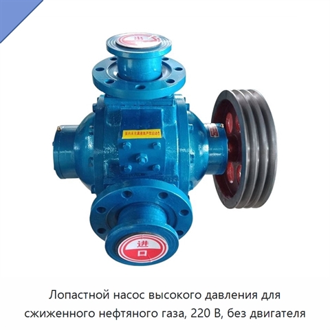 Лопастной насос высокого давления для сжиженного нефтяного газа, 220 В, без двигателя