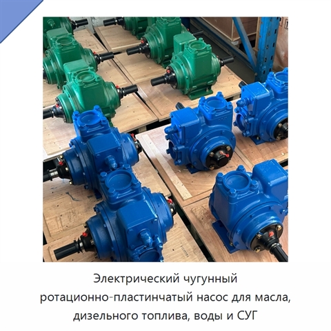 Электрический чугунный ротационно-пластинчатый насос для масла, дизельного топлива, воды и СУГ