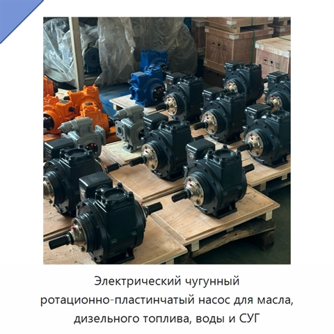 Электрический чугунный ротационно-пластинчатый насос для масла, дизельного топлива, воды и СУГ