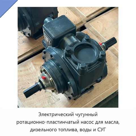 Электрический чугунный ротационно-пластинчатый насос для масла, дизельного топлива, воды и СУГ