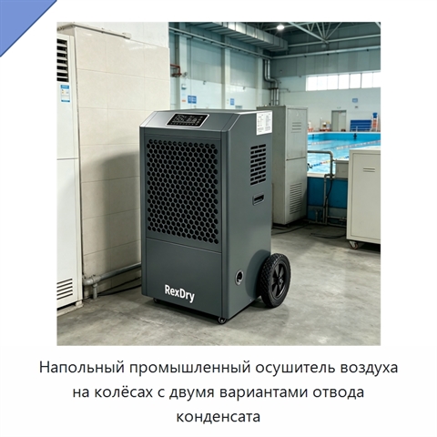Напольный промышленный осушитель воздуха на колёсах с двумя вариантами отвода конденсата